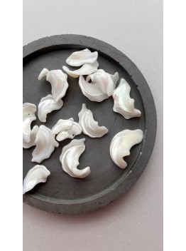 Ракушечник, лепестки